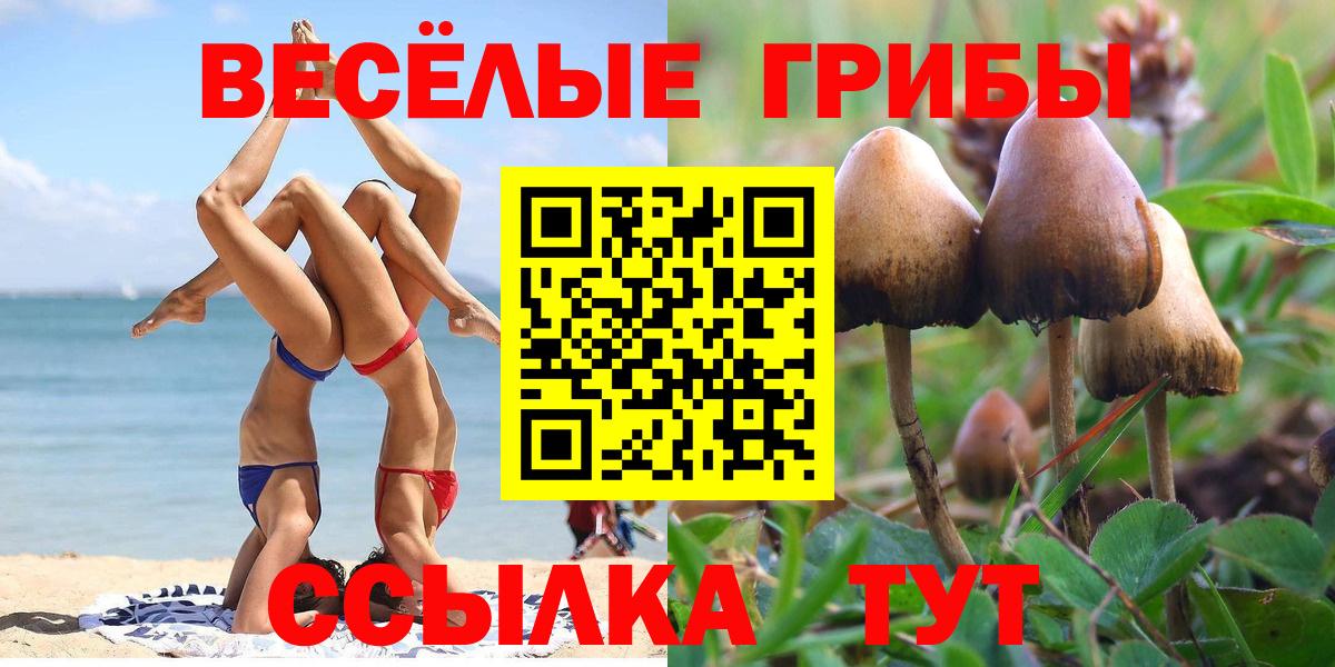 Галлюциногенные грибы мицелий Тамбов